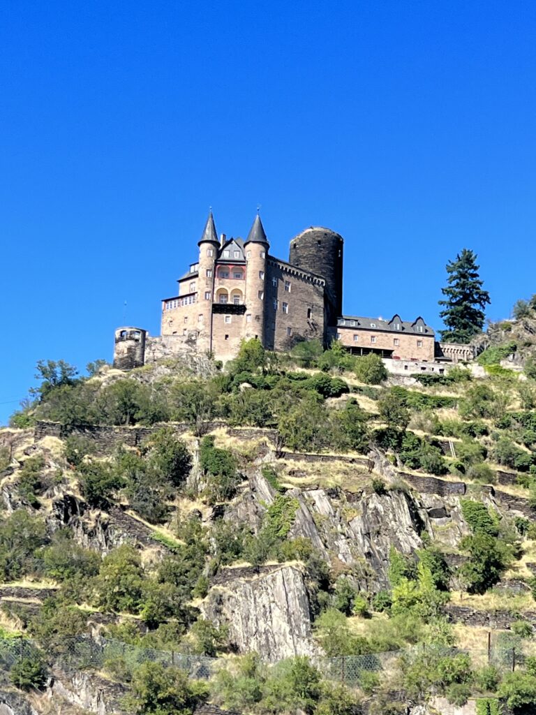 Castles on a Rhine river cruise